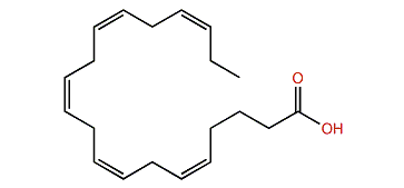 (Z,Z,Z,Z,Z)-5,8,11,14,17-Eicosapentaenoic acid